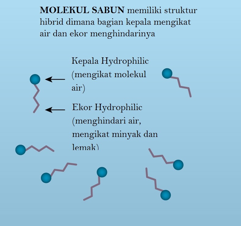 Struktur molekul sabun