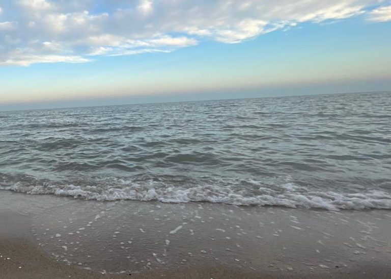 Which Beach is Cleaner Galveston or Corpus Christi