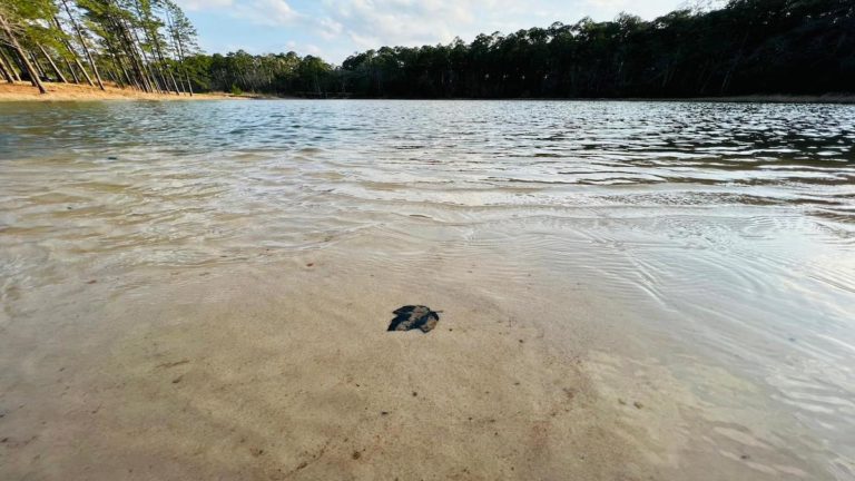 Boykin Springs Recreation Area Review