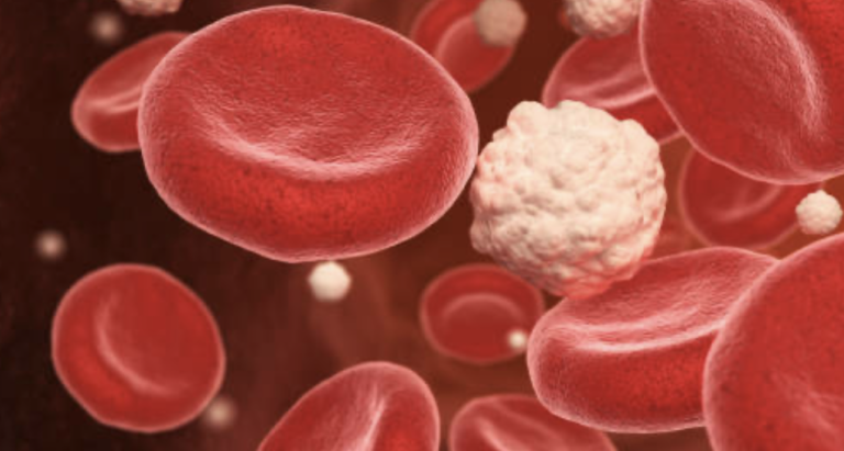 Fungsi Insulin dan Glukagon