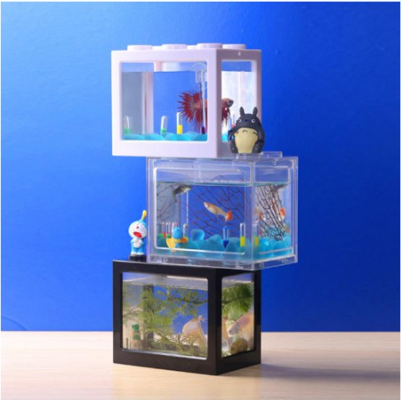 Aquarium Mini Portable Terbaik Yang Mudah Dirawat