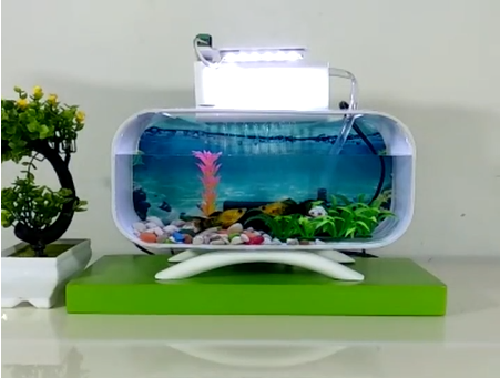 Aquarium Mini Portable Terbaik Yang Mudah Dirawat