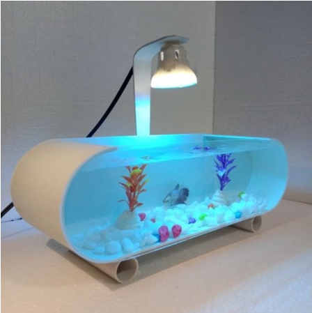 Aquarium Mini Portable Terbaik Yang Mudah Dirawat