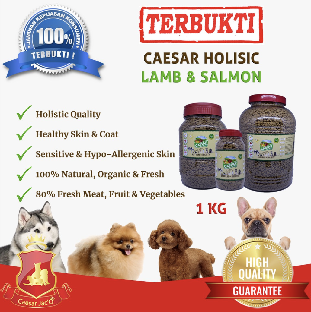 Makanan Anjing Terbaik Caesar JacO