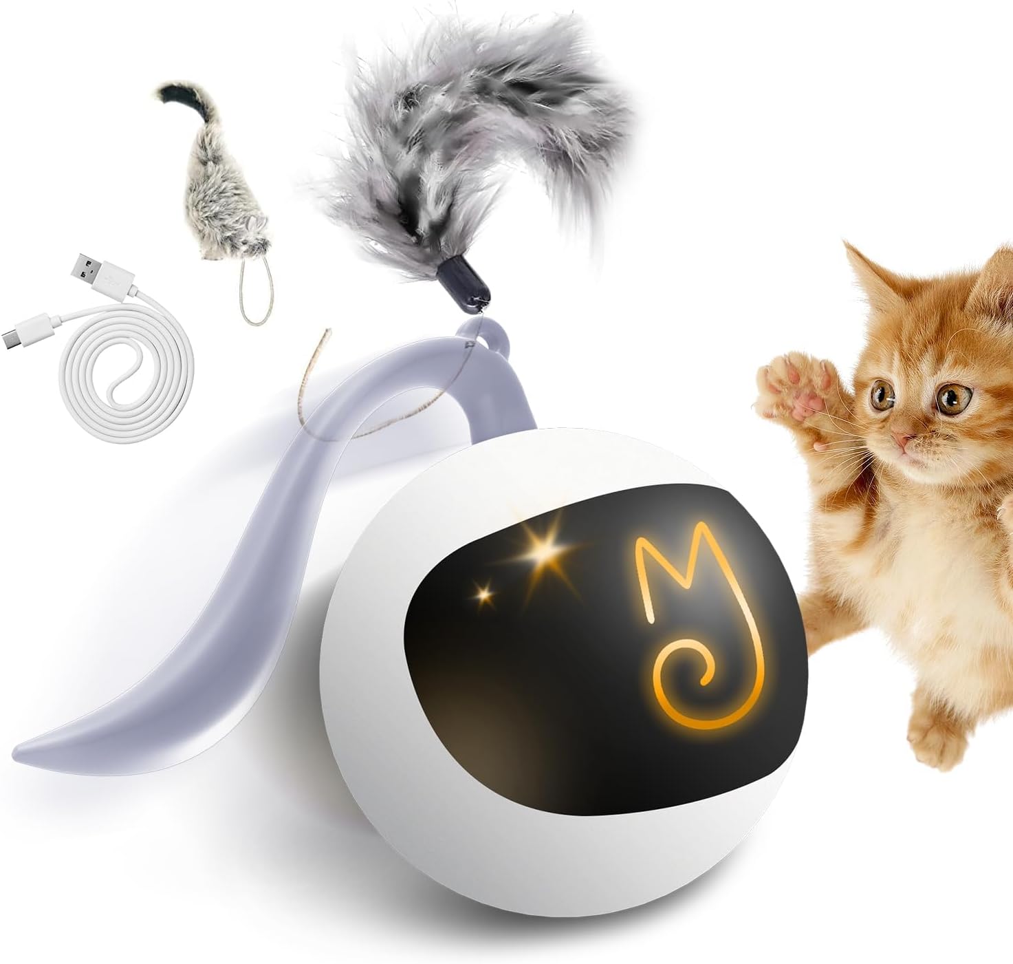 Best Toys for Cat