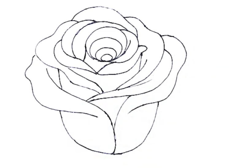 cara menggambar bunga yang mudah