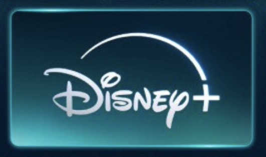 Disney Wrongful Death Lawsuit