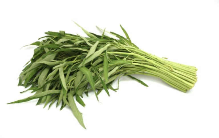 Cara Menanam Kangkung di Polybag