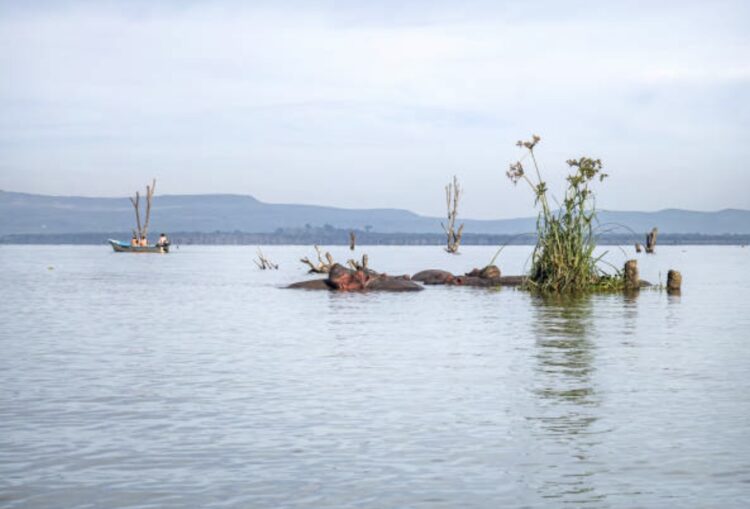 Negara Yang Dilalui Sungai Nil