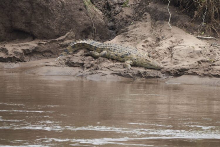 Negara Yang Dilalui Sungai Nil