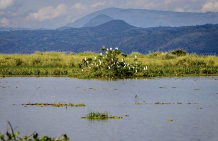 Negara Yang Dilalui Sungai Nil