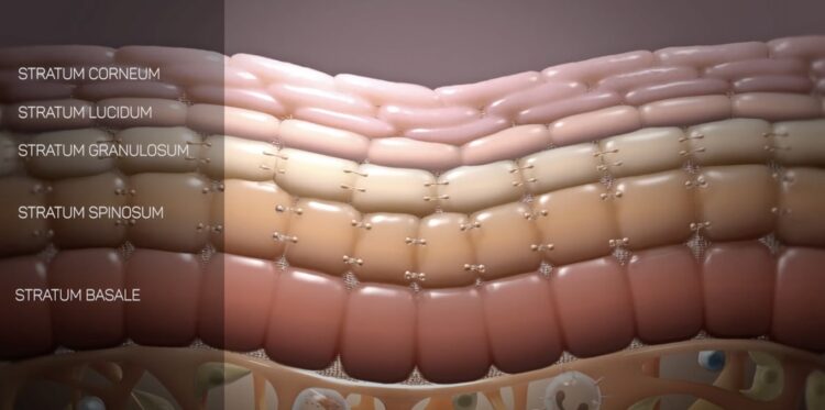 Ciri Skin Barrier Rusak