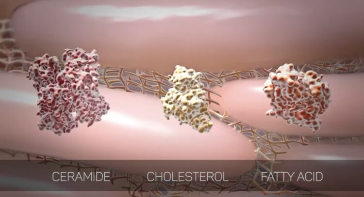 Ciri Skin Barrier Rusak