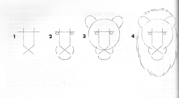 Cara Menggambar Hewan Yang Mudah - Singa