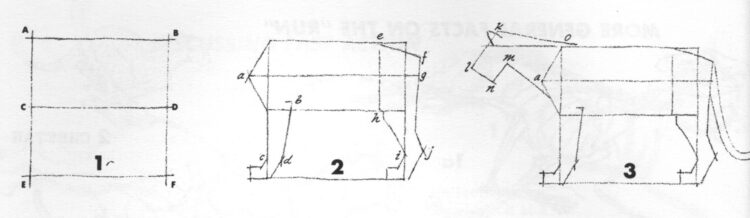 Cara Menggambar Hewan Yang Mudah - Singa