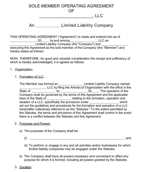 Example of a Sole Member Operating Agreement LLC