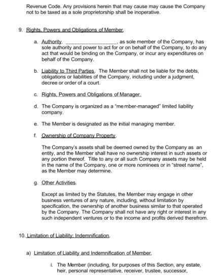 Example of a Sole Member Operating Agreement LLC