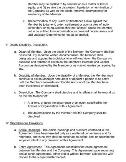 Example of a Sole Member Operating Agreement LLC