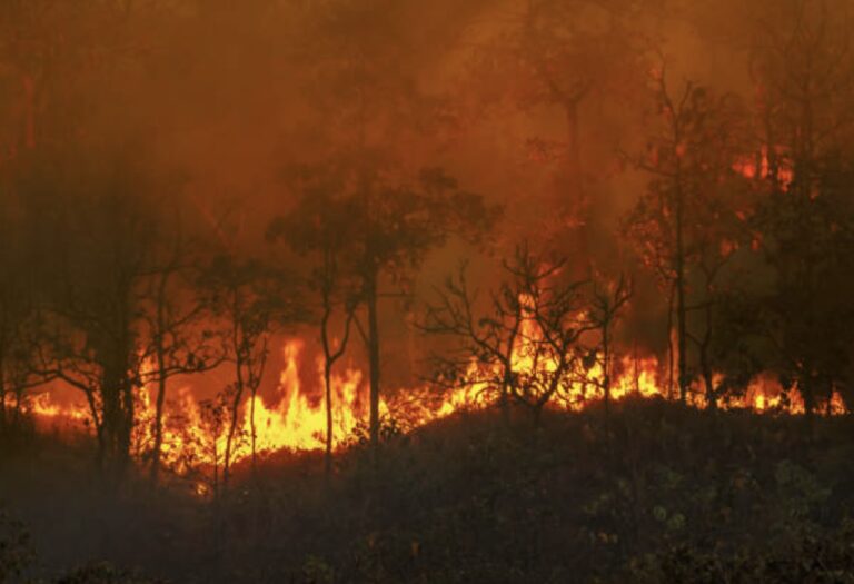 Film Tentang Bencana Alam