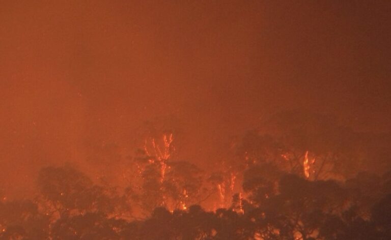 Bushfire Melbourne