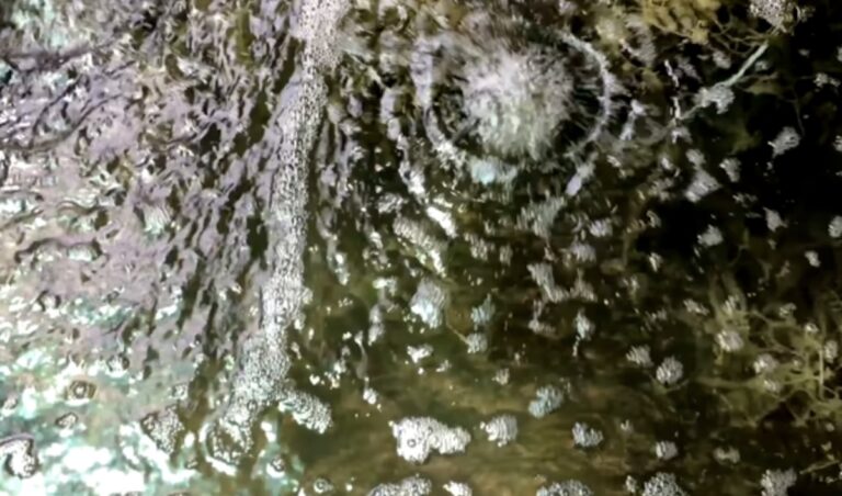 Apakah Ikan Koi Bisa Hidup Tanpa Aerator