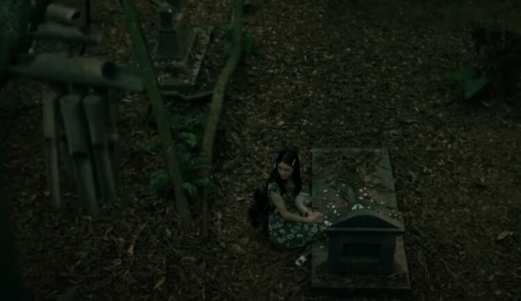 Nonton Film Do You See What I See