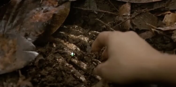 Nonton Film Kang Mak