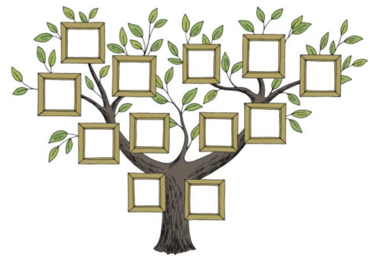 Bagaimana Pendapat Kalian Mengenai Pentingnya Mempelajari Sejarah Keluarga