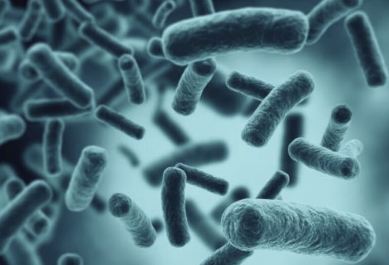 McDonald's E. Coli Outbreak