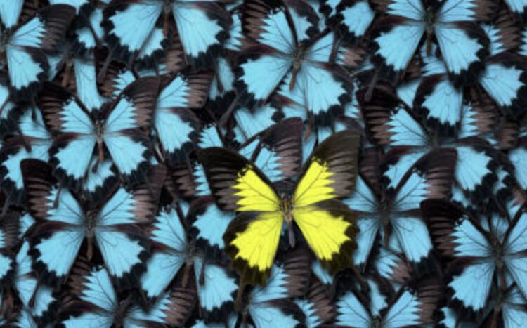 Interested Visual How Contrast in Design Creates Visual Interest – A Complete Guide ...