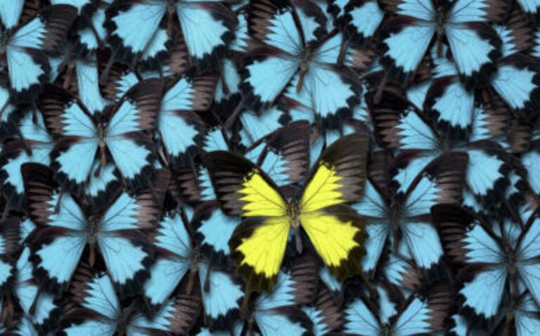 What principle of design uses noticeably different elements to create interest