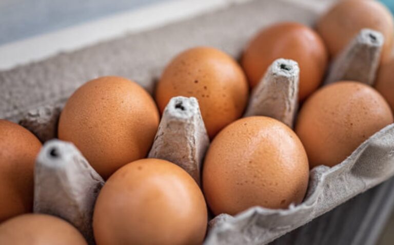 Why Is There an Egg Shortage? Causes, Impacts, and How Businesses Can Adapt