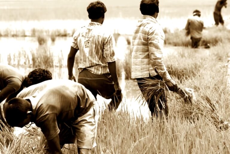 Faktor-Faktor yang Melatarbelakangi Belanda Menerapkan Sistem Tanam Paksa di Indonesia