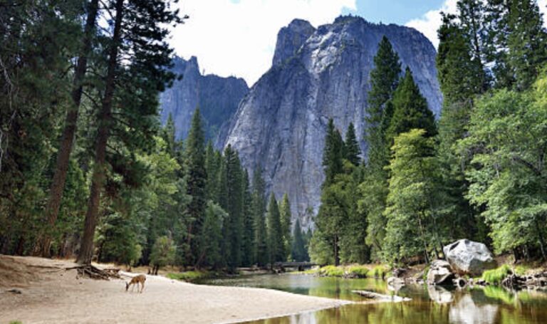 Complete Guide to Yosemite National Park
