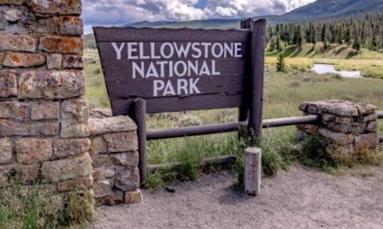 Which Yellowstone entrance is open year-round