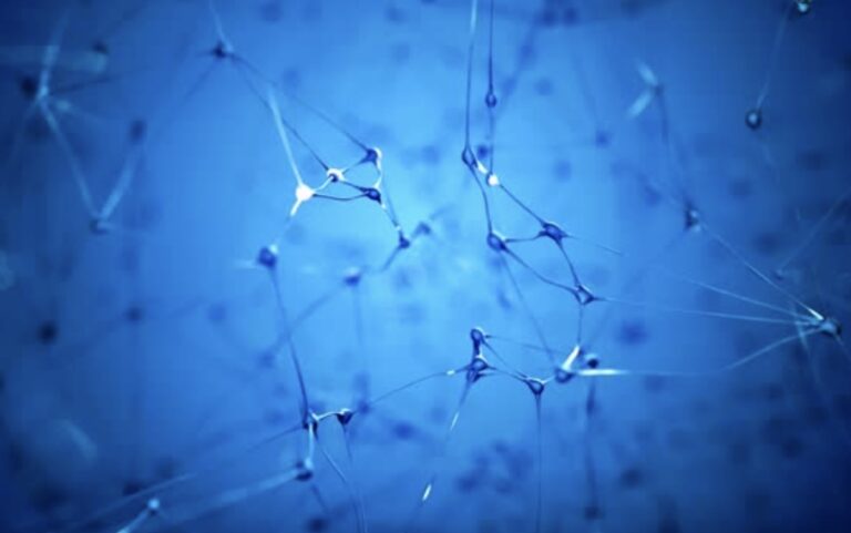 hormon yang aktif paling awal pada proses menstruasi seorang wanita dewasa