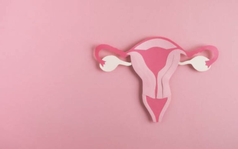 proses meluruhnya sel-sel epitel yang menyusun dinding rahim