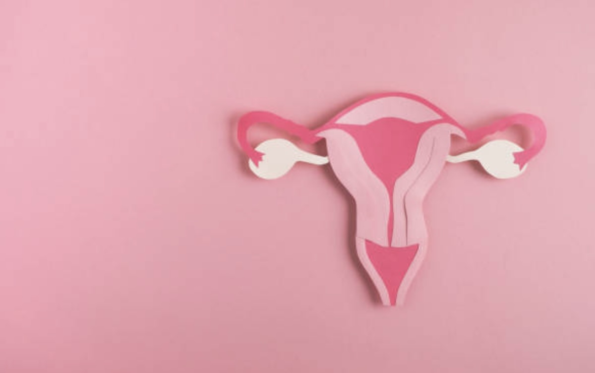 proses meluruhnya sel-sel epitel yang menyusun dinding rahim