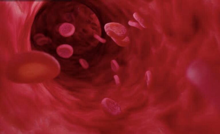 proses pembekuan darah