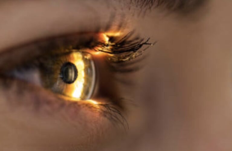 proses perjalanan cahaya pada mata hingga terbentuk bayangan benda