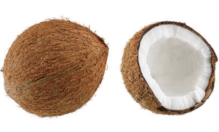 How to Start a Coconut Oil Business