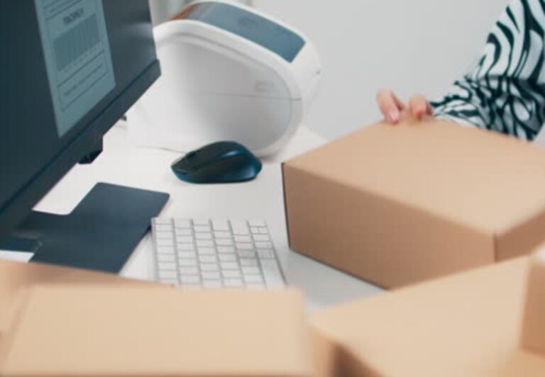 solopreneur business model