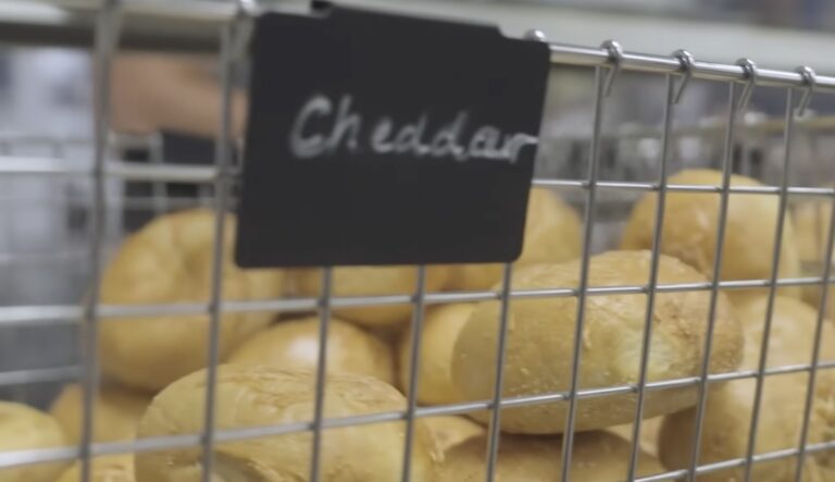 thriving bagel business