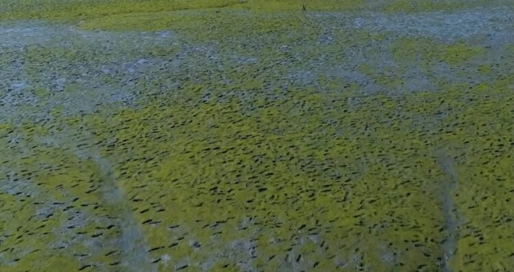 most valuable natural resources