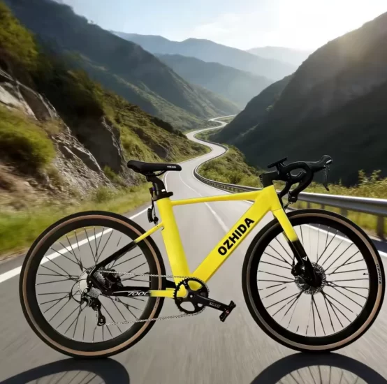 electric bike for adults 1