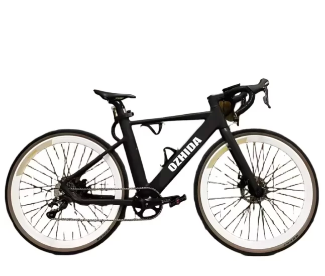 electric bike for adults 