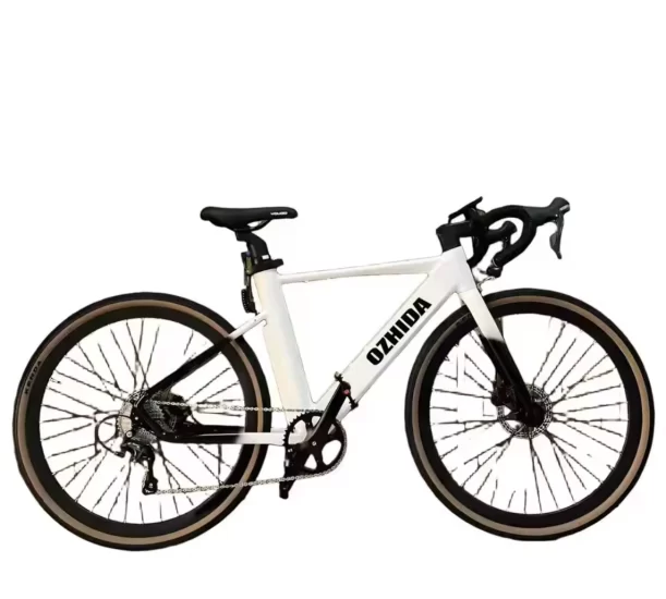 electric bike for adults