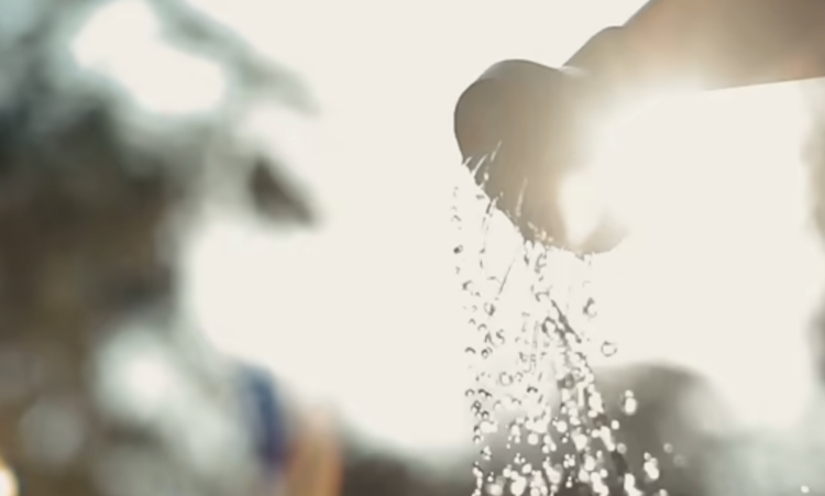 backyard gardening business