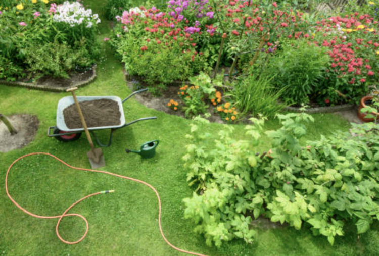 backyard gardening business