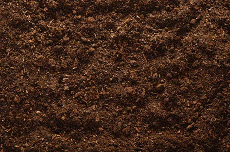 how to make soil more acidic